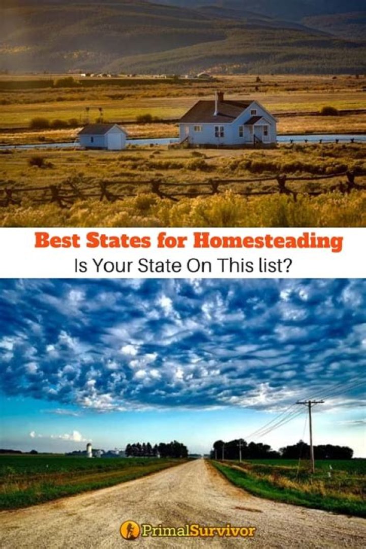 Is there still homesteading in the US