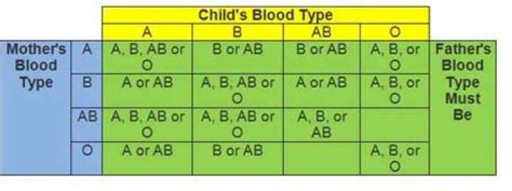 What are all the possible blood types of their baby