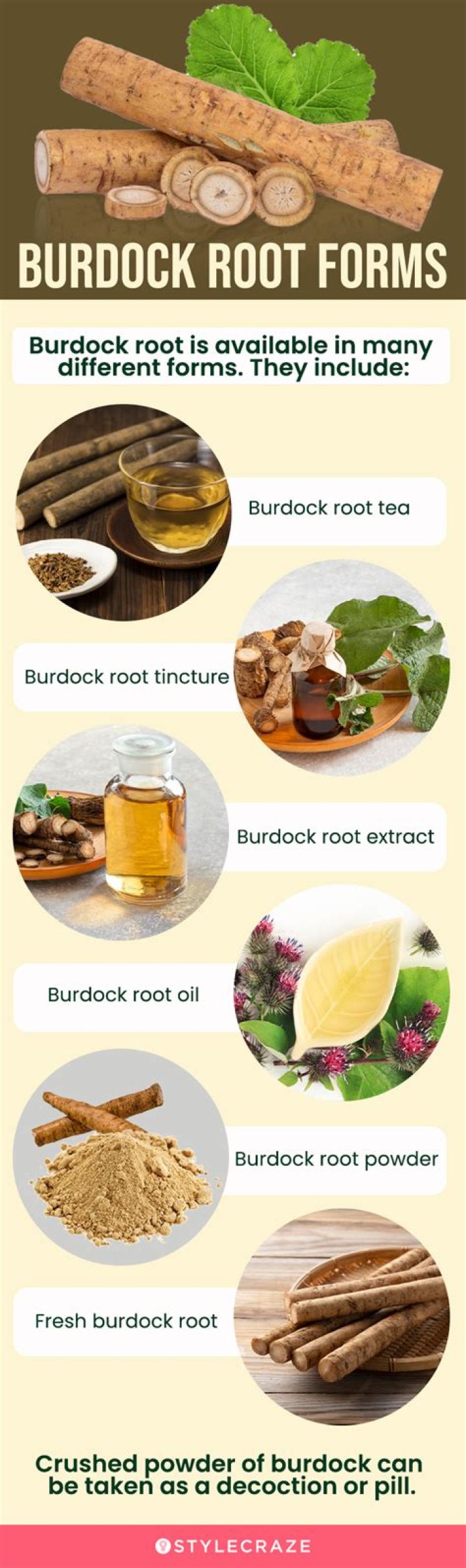 What are burdock leaves good for