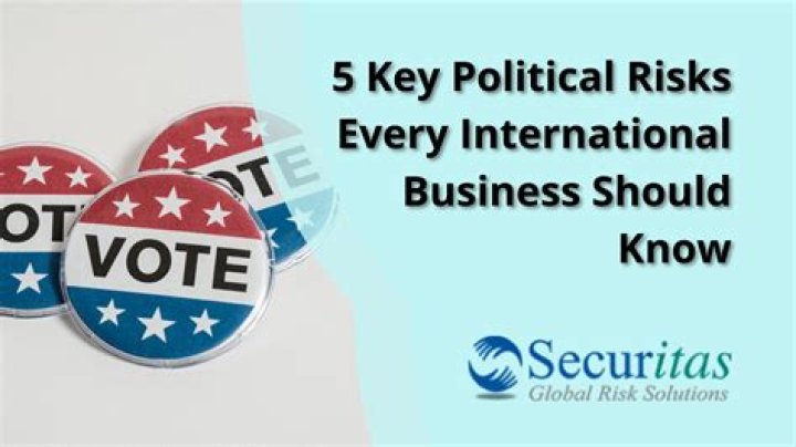 What are political risks in business