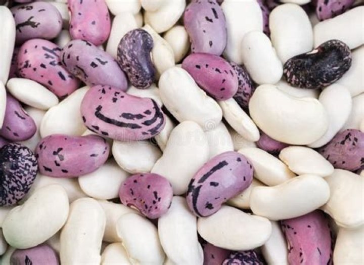 What are purple beans called