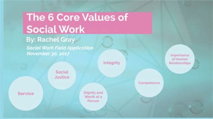 What are social work professional values