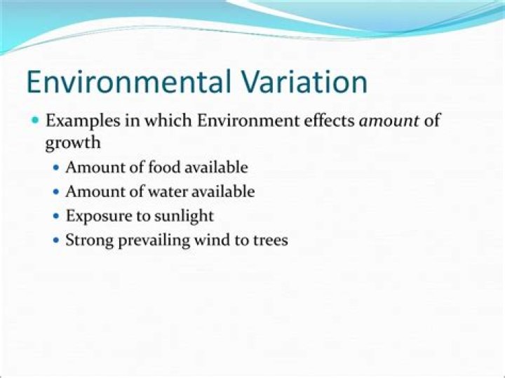 What are some sources of environmental variation