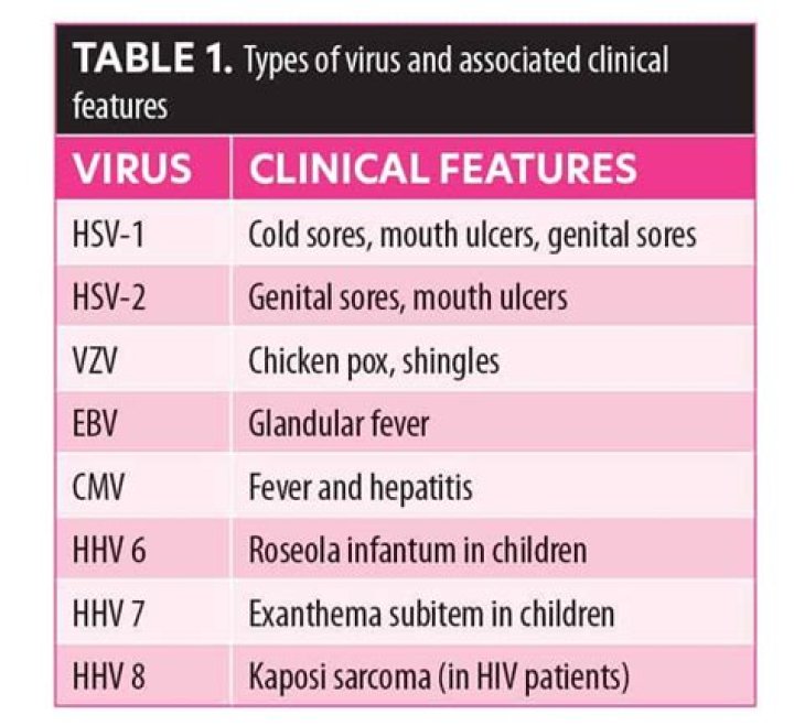 What are the 8 types of herpes