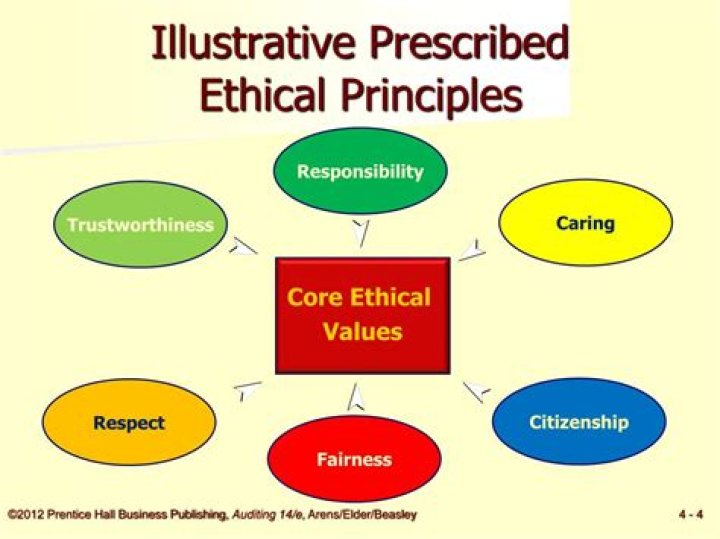 What are the basic principles of professional ethics
