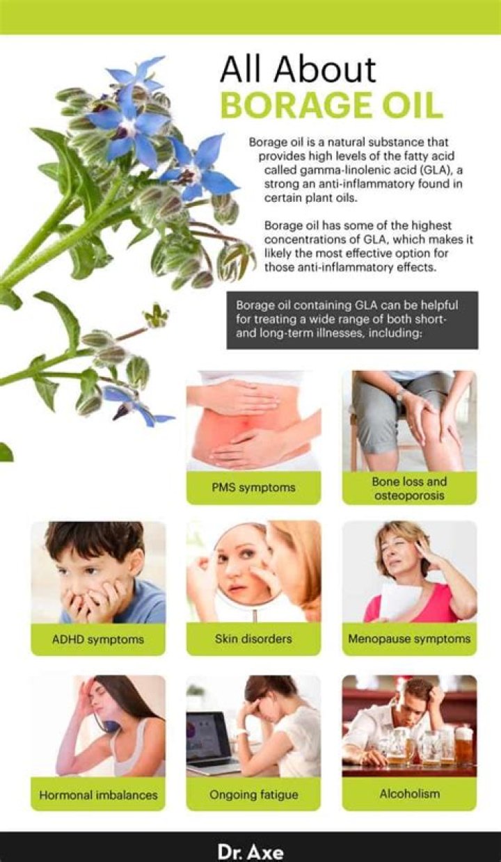 What are the benefits of borage oil