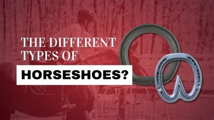 What are the different sizes of horseshoes