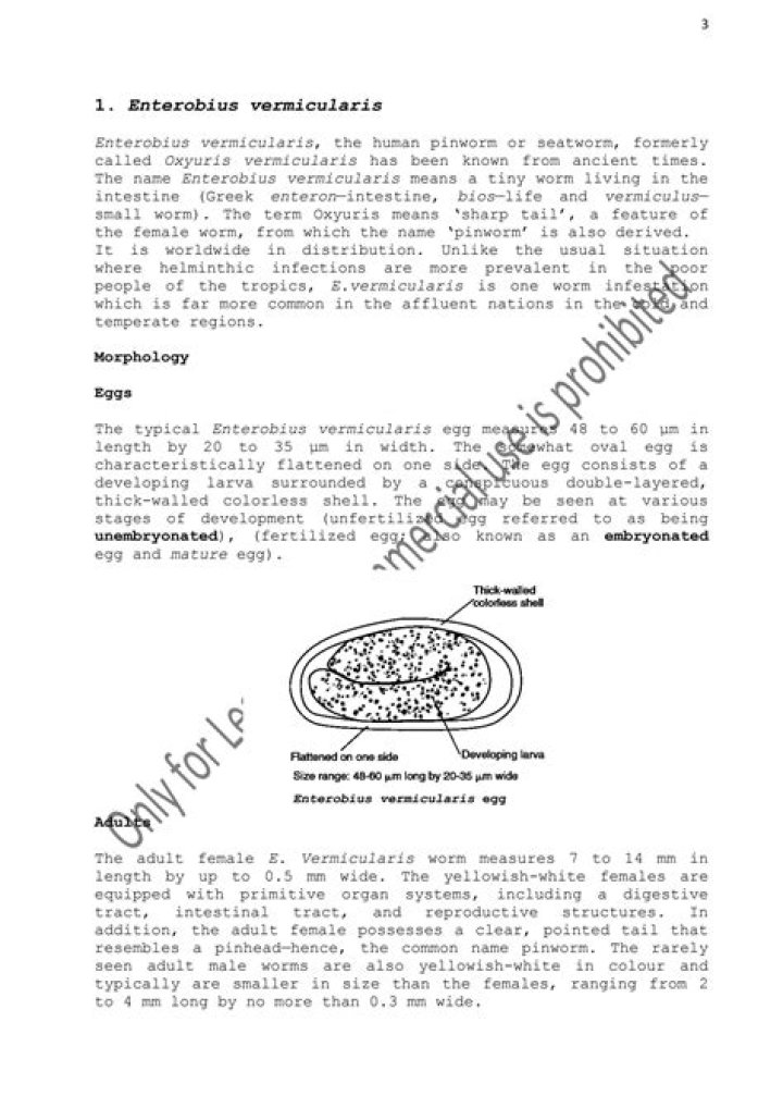 What are the economic importance of nematodes - The Daily Insight