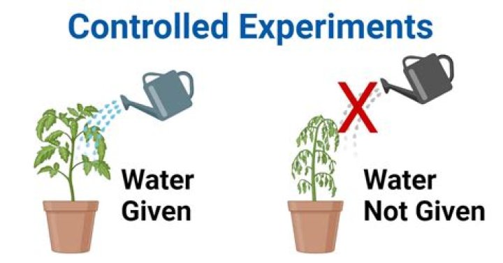 What are the elements of a controlled experiment