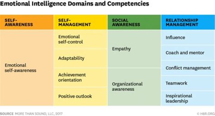 What are the four competencies of emotional intelligence