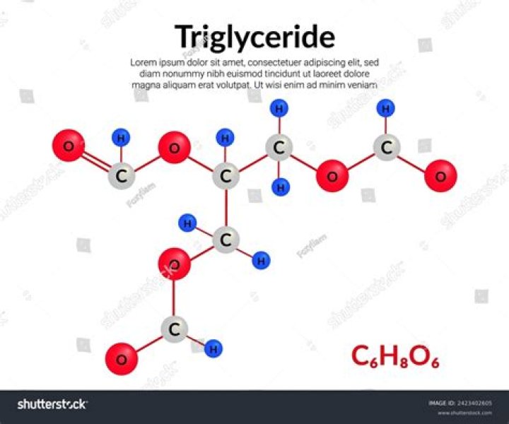 What are the four components that make up a triglyceride