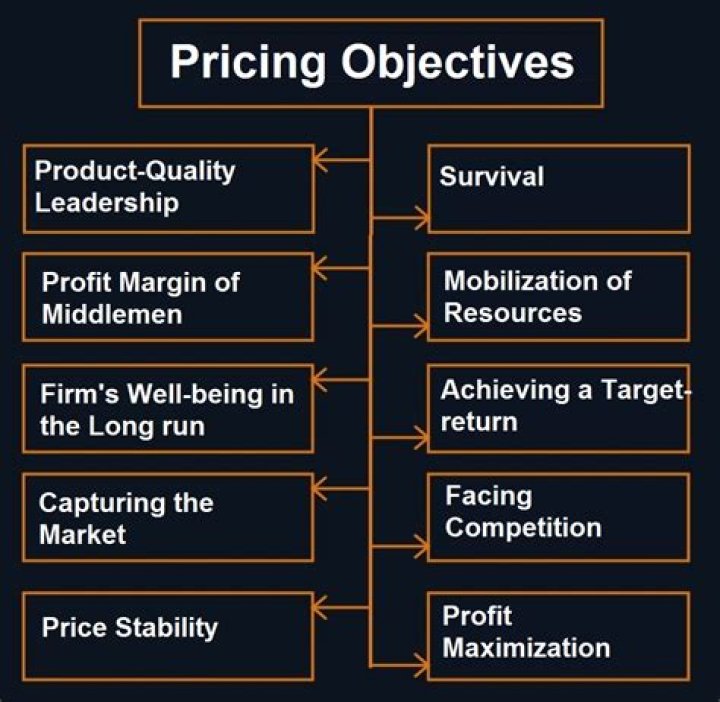 What are the objectives of pricing policy