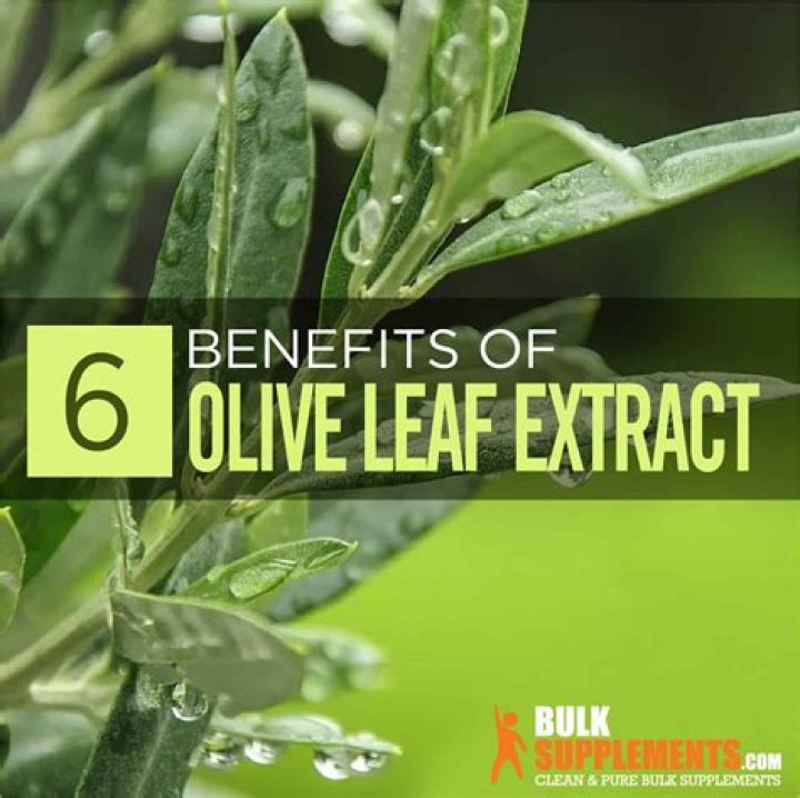 What are the side effects of taking olive leaf extract