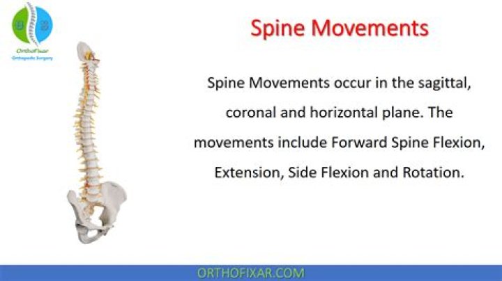 What are the six movements of the spine