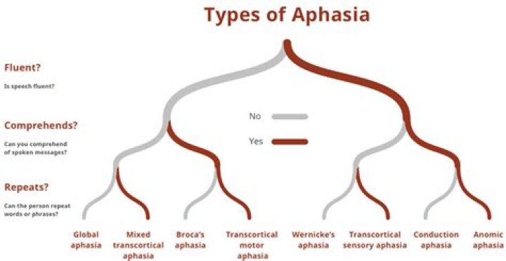 What are the two different types of aphasia