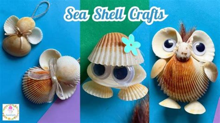 What can I make with clam shells