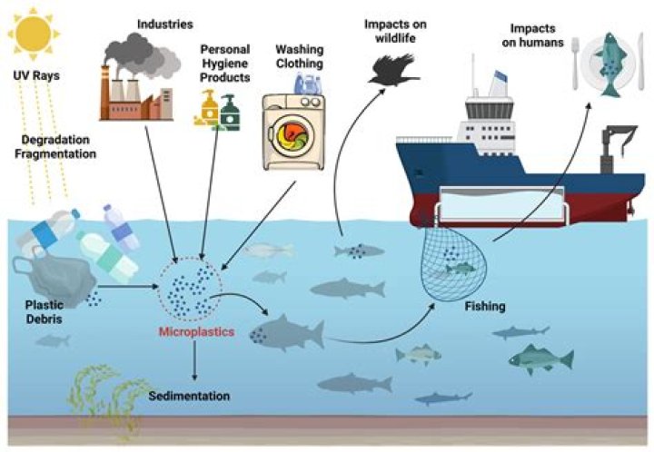 What chemicals are in fish waste