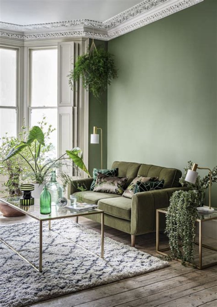 What color couch goes with green walls