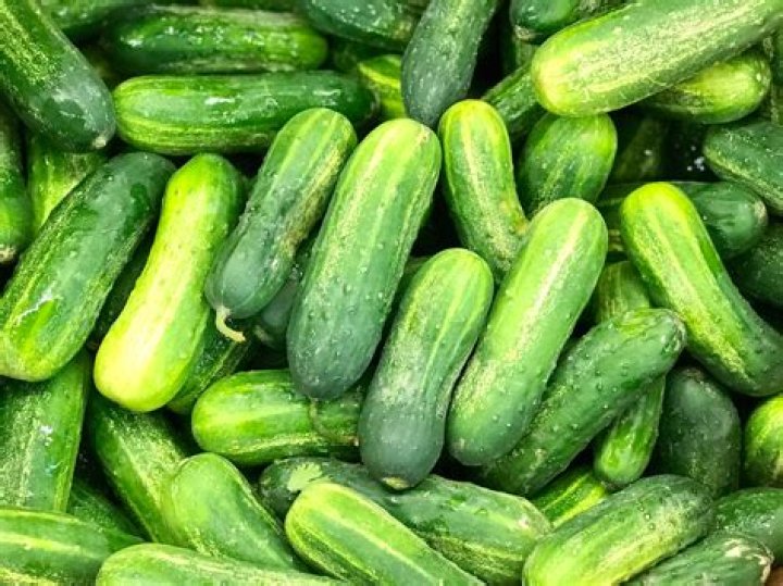 What cucumbers are best for pickling