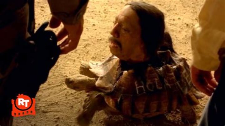 What did the tortoise say in breaking bad