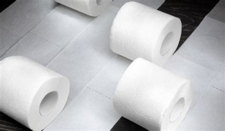 What did they use for toilet paper in the Old West