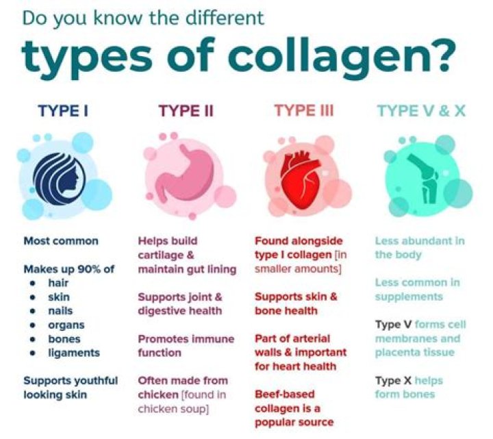 What do the different types of collagen do