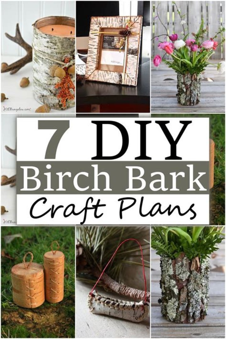 What do you do with birch logs