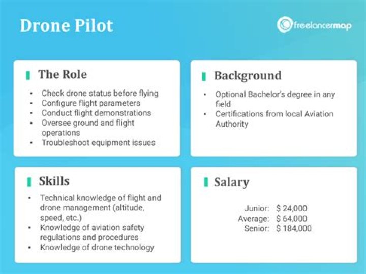 What does a drone pilot do