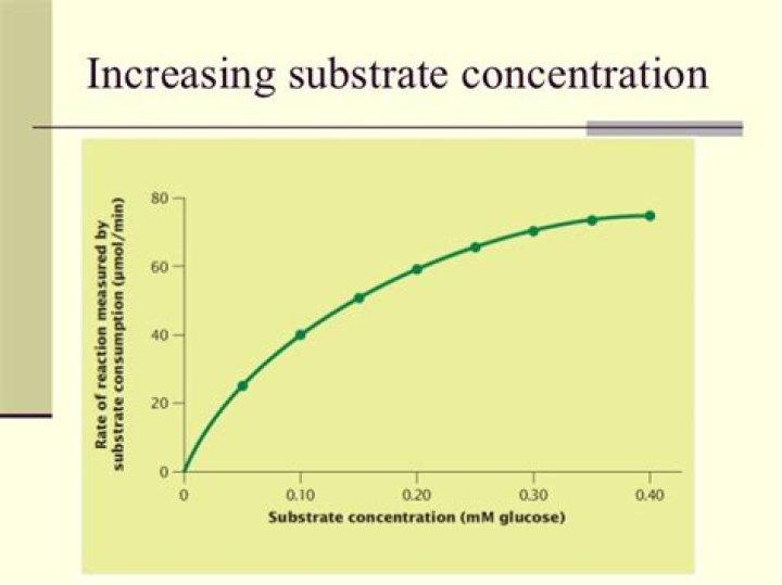 What does a high substrate concentration mean
