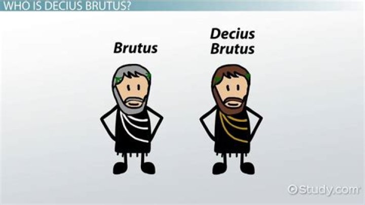 What does Brutus 1 argue