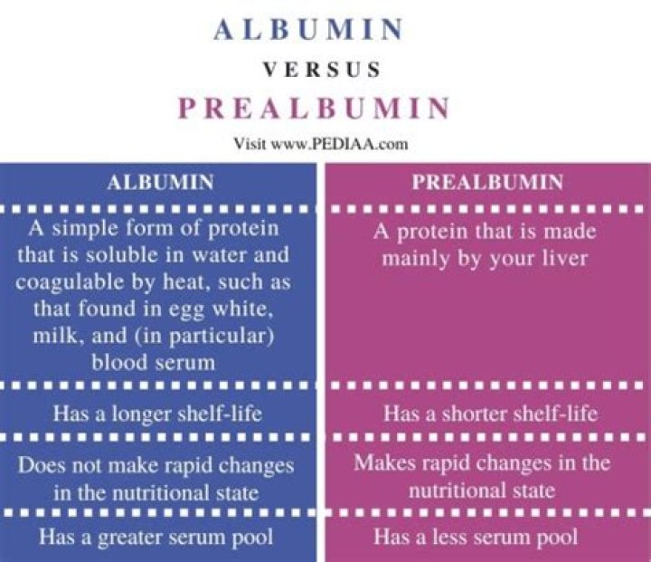 What does low albumin and prealbumin mean