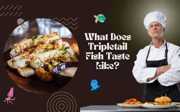 What does tripletail fish taste like