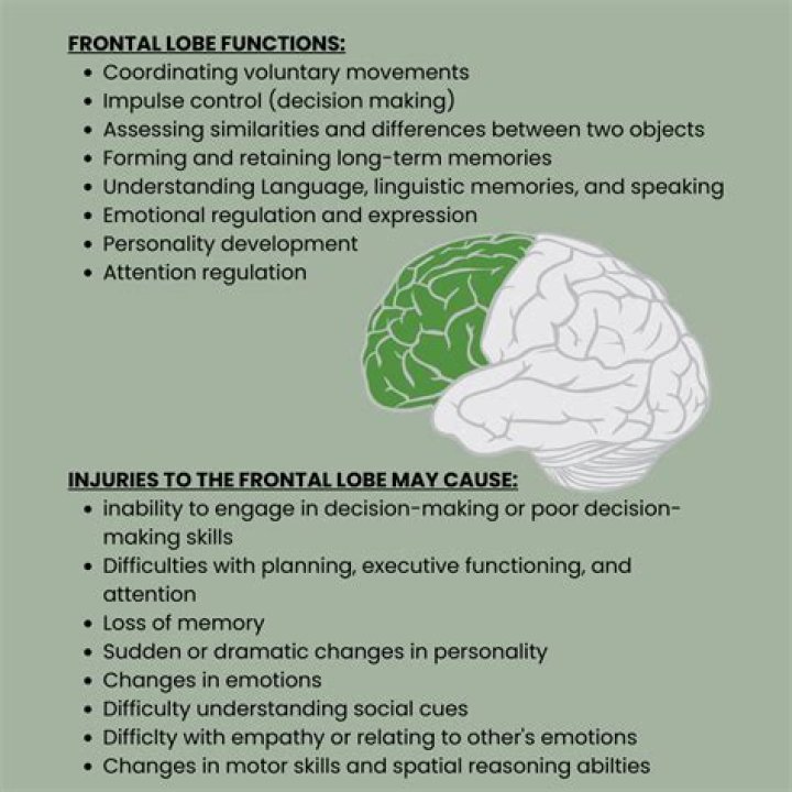 What effect does damage to Brocas area of the frontal lobe have on Behaviour