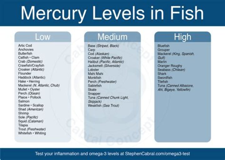 What fish is highest in mercury