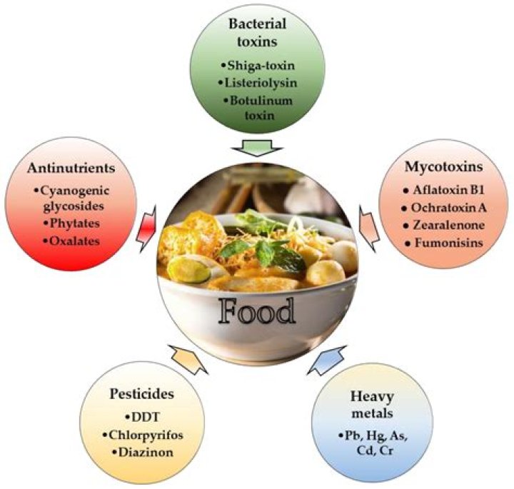 What food contains lactic acid