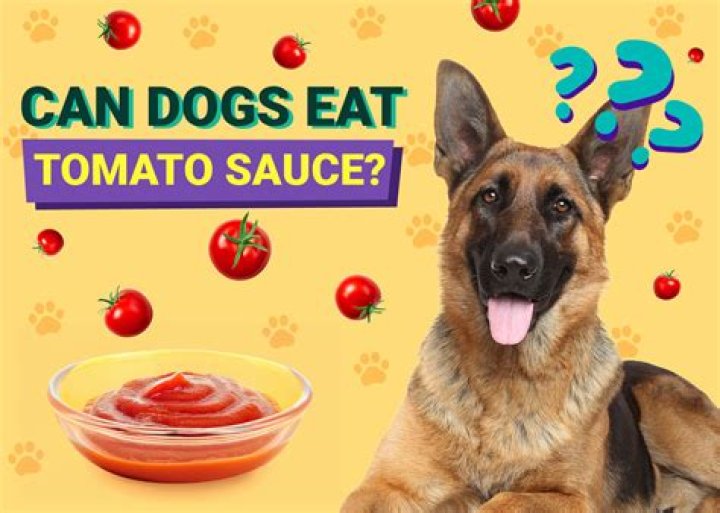 What happens if dogs eat tomato sauce