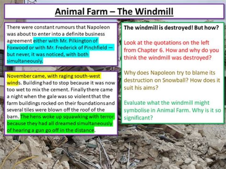 What happens to the windmill in Animal Farm in Chapter 6