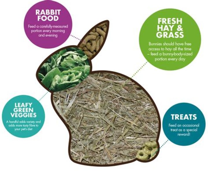 What herbs do rabbits like to eat
