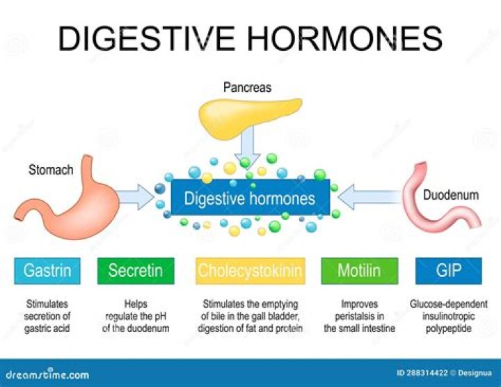 What hormones are used in food production