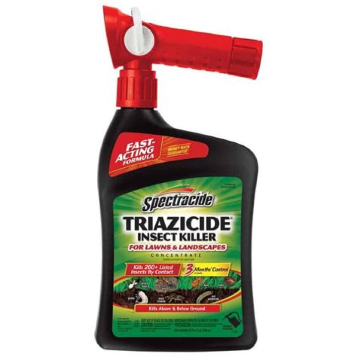 What insecticide kills worms