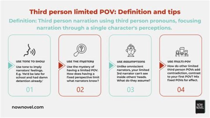 What is 3rd person limited POV