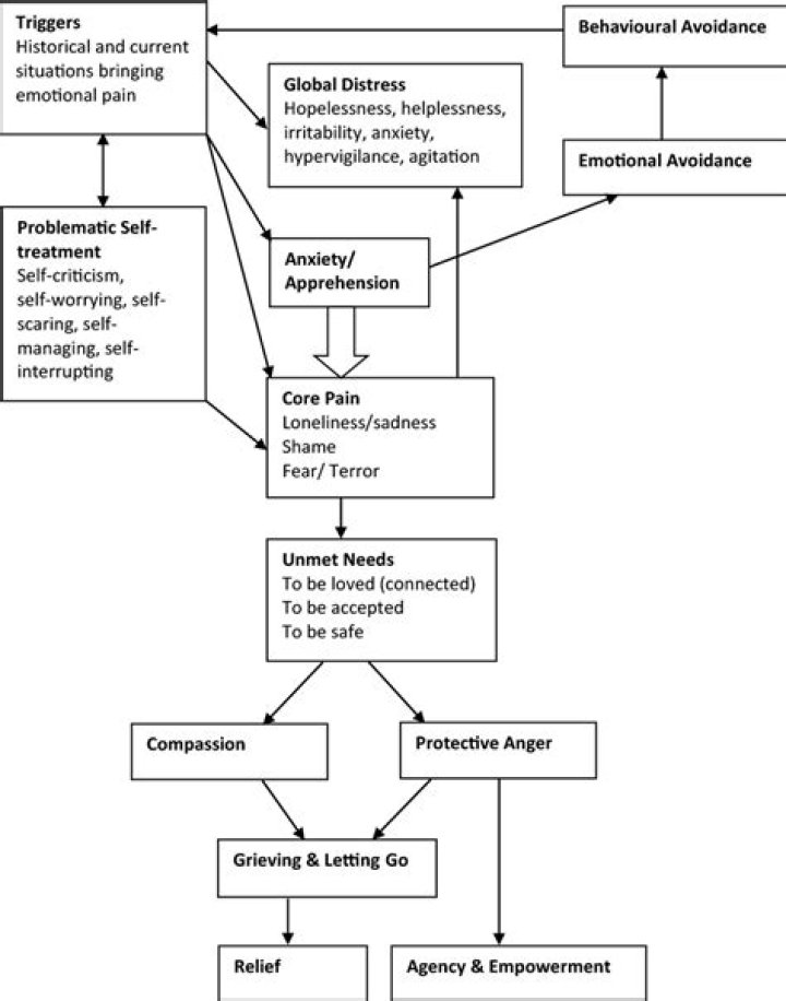 What is a case conceptualization