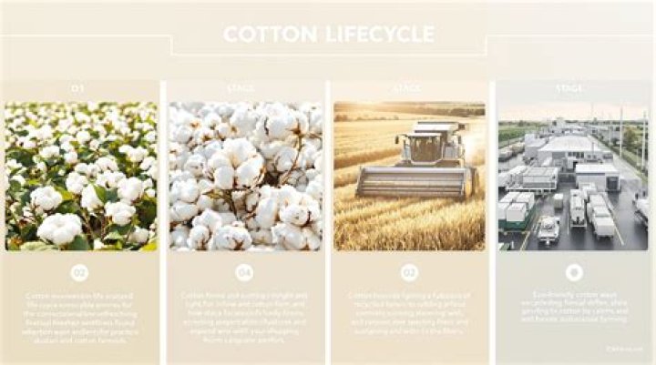 What is a cotton square