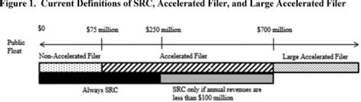 What is a large accelerated filer