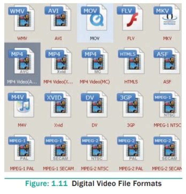 What is a multimedia file