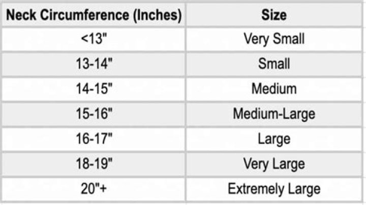 What is a normal neck size