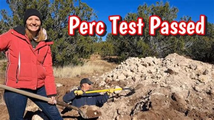What is a perc and probe