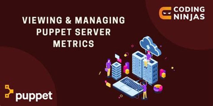 What is a puppet server