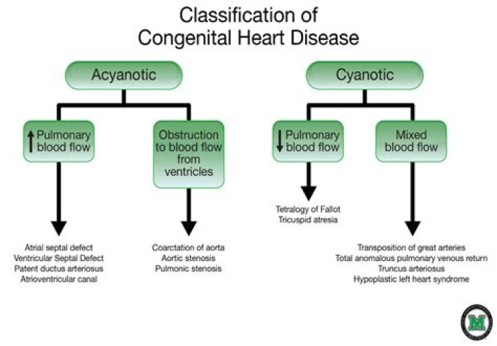 What is Acyanotic heart disease