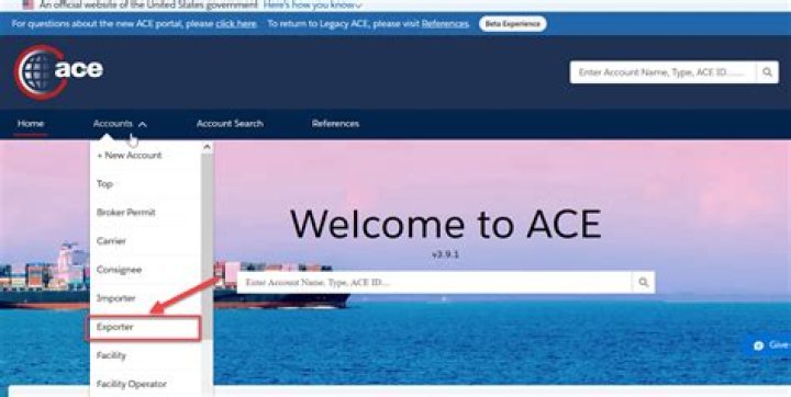 What is an ACE account